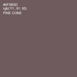 #6F5B5D - Pine Cone Color Image